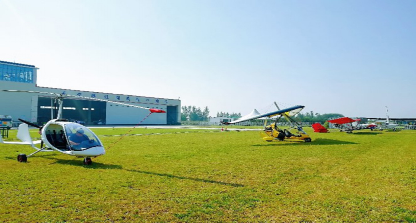 運動駕駛員執照